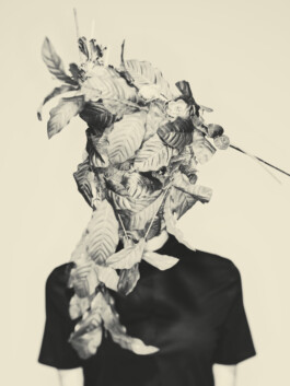  Patrick Saringer