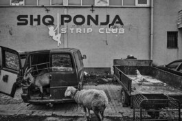 fotograf-innsbruck-dokumentarfotografie-reportage-unternehmen Patrick Saringer